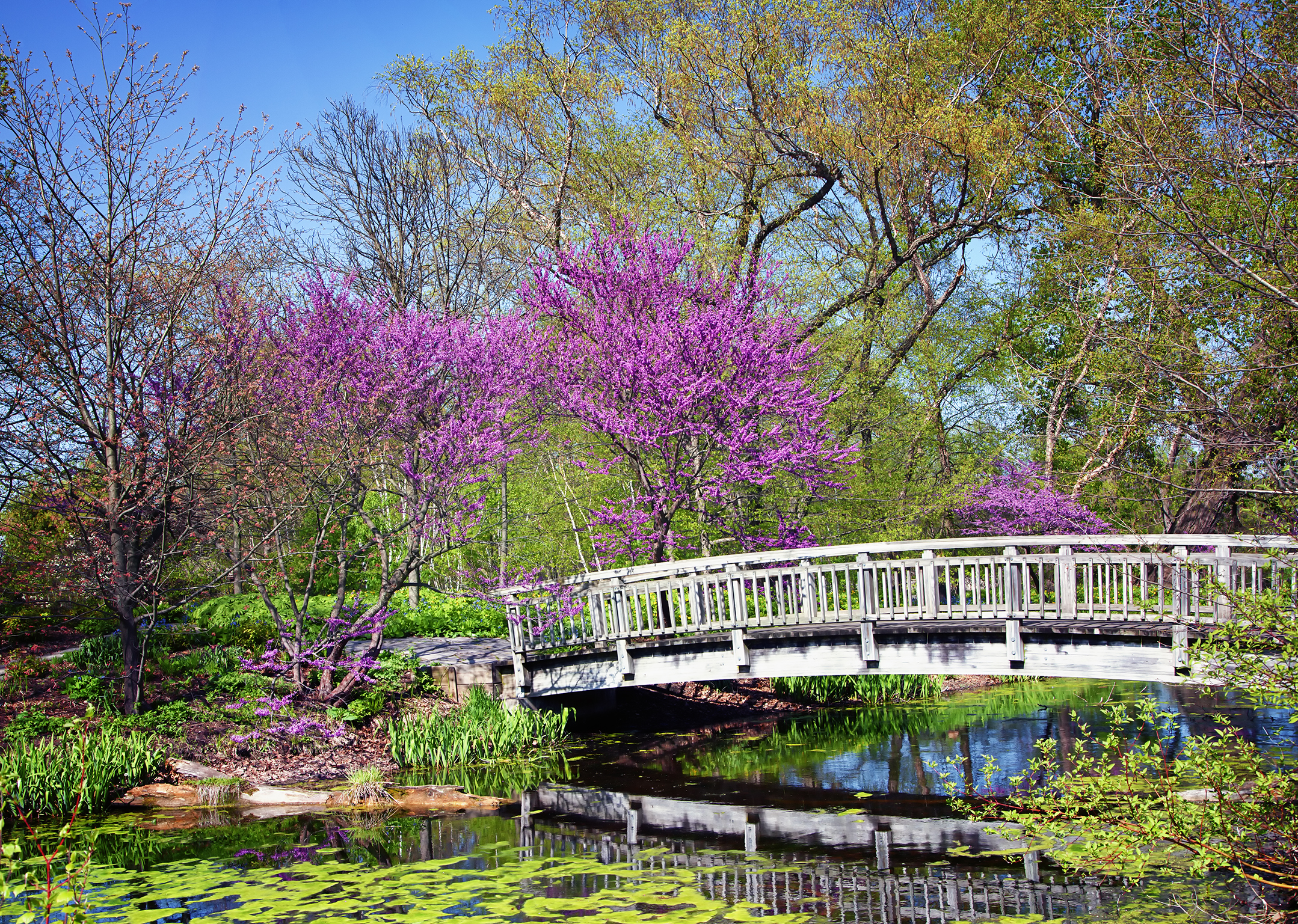 things to do in madison