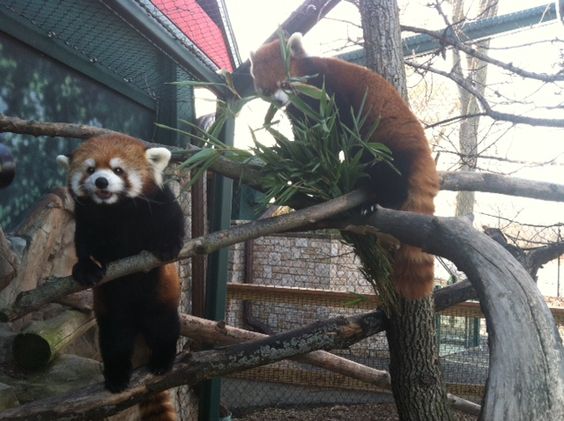 things to do in madison